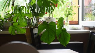 35 Homemaking vlog  daily cleaning habbits simple meals inspiration 🥞 from basic ingredients [upl. by Eugenie777]