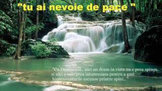 OVIDIU LITEANU tu ai nevoie de pace Romanian Christian Music [upl. by Hashim739]