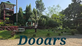 dooars neora jungle camp [upl. by Antonietta570]