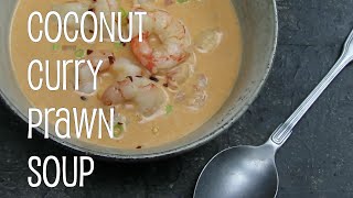 Coconut Curry Prawn Soup [upl. by Eiramyelhsa]