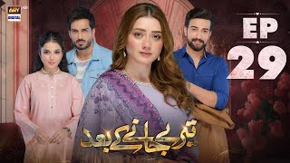 Teray Janay Kay Baad Episode 29  6 Sep 2024  ARY Digital Drama [upl. by Yerag]