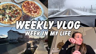 VLOG typical week in my life dinner with friends work errands kitten [upl. by Noyk]