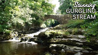 Gurgling Stream Under an Ancient Bridge on a Hot Summers Day  3 Hours of Tranquil Water Sounds [upl. by Doreen]