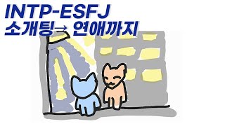 INTP ESFJ 연애하게 된 썰  인팁 엣프제 궁합 [upl. by Jalbert992]