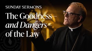 The Goodness—and Dangers—of the Law  Bishop Barrons Sunday Sermon [upl. by Map263]