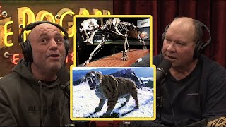 Joe Rogan Sabre tooth tigers found in Alaska and Ancient fossils being stolen from him [upl. by Brand900]