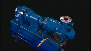 NASH Liquid Ring Vacuum Pump  How It Works [upl. by Chi]