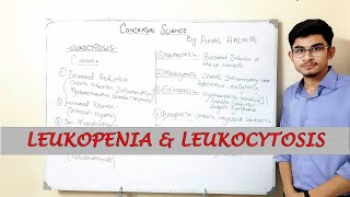 Leukopenia and Leukocytosis WBC Disorders Urduhindi [upl. by Eicyal202]