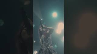 Eluveitie  Planer Fest 2024 recap video [upl. by Fabe461]