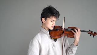 Aspen Music Festival Fellowship Audition Violin [upl. by Iramohs]