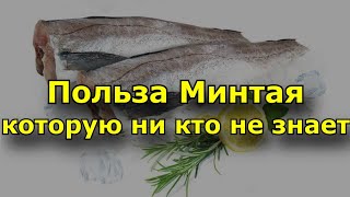 Польза Минтая Которую ни кто не знает Состав и полезные свойства минтая [upl. by Annehcu]