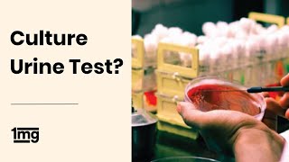 What is Urine Culture Test  1mg [upl. by Graniela]