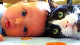 Cats Meeting Babies for the First Time Compilation NEW [upl. by Odilia]