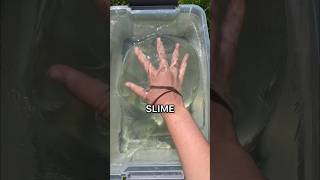 Testing VIRAL SLIME Recipes WITHOUT GLUE and ACTIVATOR 🤨😱 DIY how to make slime tutorial [upl. by Langill94]