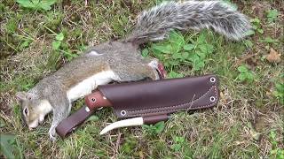 Spit Roasted Squirrel Catch and Cook [upl. by Robertson863]