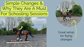 Simple Changes  Dressage Training [upl. by Ellesor]