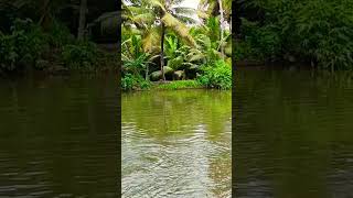 Kerala Kumarakom Kareemadom [upl. by Llemej]