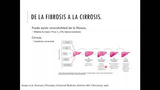 Hepatopatía crónica [upl. by Rap]