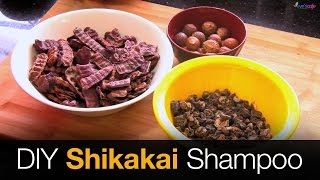 DIY Shikakai Shampoo Preparation  100 Natural Shampoo  Home Made Herbal Shampoo [upl. by Atteuqal]