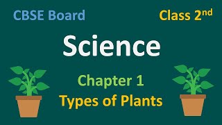 CBSE  Grade 2  Science  Chapter 1  Types of Plants  CBSE Board  Science For Kids  Standard 2 [upl. by Aicnilav695]