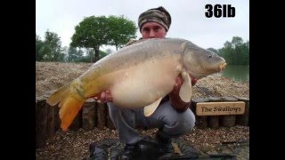 Fishing Etang La Planchette France 09 [upl. by Ynar]