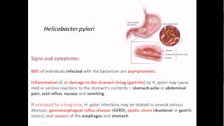 Helicobacter pylori signs and symptoms [upl. by Hoppe]