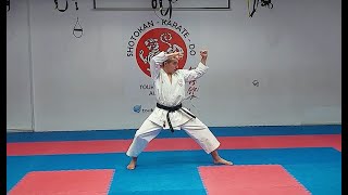 Toukon Academy Athlete Perform Heian Nidan Kata [upl. by Theola]