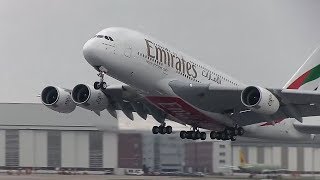 Airbus A380 Emirates Airlines  Take Off and Landing [upl. by Aneej536]