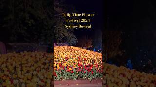 Tulip Time Flower Festival 2024 Bowral [upl. by Whatley]