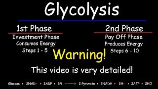 Glycolysis  Biochemistry [upl. by Junius]