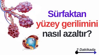 Sürfaktan Yüzey Gerilimini Nasıl Azaltır [upl. by Emrich388]