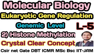 Eukaryotic Gene RegulationL5Mechanism of gene Regulation by Histone Methylation in Eukaryotes [upl. by Eilahtan]