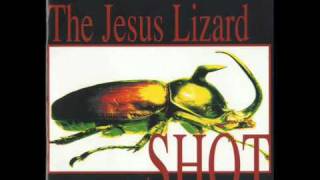 The Jesus Lizard  Trephination [upl. by Rimaa]