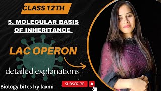 Lac Operon  molecular basis of inheritance class 12  in hindi biology neet youtube lacoperon [upl. by Alane]