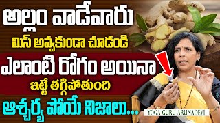 అల్లం ఇలా వాడితే రోగాలు లేకుండా బతకొచ్చు  Aruna Devi Yoga about Ginger Amazing Benefits  kneepain [upl. by Petras]