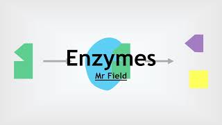 GCSE Biology 05  Enzymes [upl. by Odrude612]