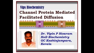 CHANNEL MEDIATED TRANSPORT Classes of channel proteins and facilitated diffusion through channels [upl. by Pattin]