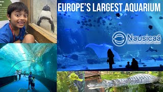 Nausicaá in France  The Largest Aquarium in Europe [upl. by Sucramaj880]