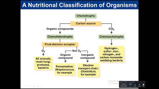 Chapter 6 Microbial Growth new [upl. by Nilya]