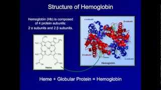 Dyshemoglobinemia Methemoglobin and Carbon Monoxide Poisoning ABG Interpretation  Lesson 19 [upl. by Cynara]