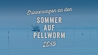 Erinnerungen an den Pellwormer Sommer 2015 [upl. by Amar]