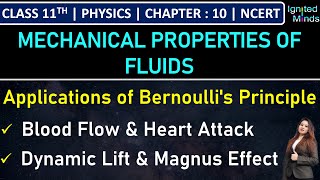 Class 11th Physics  Applications of Bernoullis Principle  Example 108  Chapter 10  NCERT [upl. by Eadnus406]