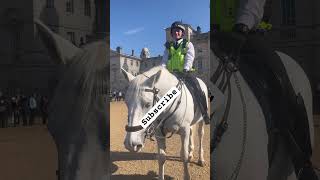 The mounted police explained things about the horse to the tourists horse art [upl. by Luhey]