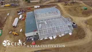 22000 Square Foot Custom Ceres Cannabis Greenhouse [upl. by Morganne]