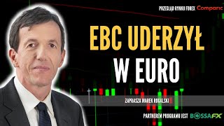 EBC zakończył podwyżki i teraz będzie przyglądał się gospodarce  Świat walut  15092023 [upl. by Koslo]