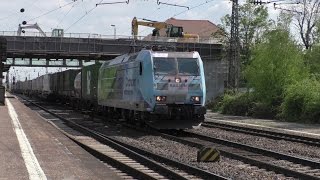 Züge in MainzBischofsheim 6 mit G2000 BR143 BR185 BR186 BR189 und mehr [upl. by Ame]