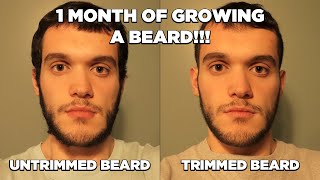 Untrimmed Beard vs Trimmed Beard with Haircut 1 month of growing a beard [upl. by Zantos]