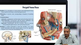 Pterygoid Venous Plexus [upl. by Iorgo]