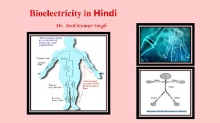 BioElectric Potential [upl. by Eanad]