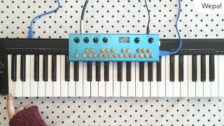 Critter amp Guitari  Low Frequencies from the Organelle [upl. by Gona]